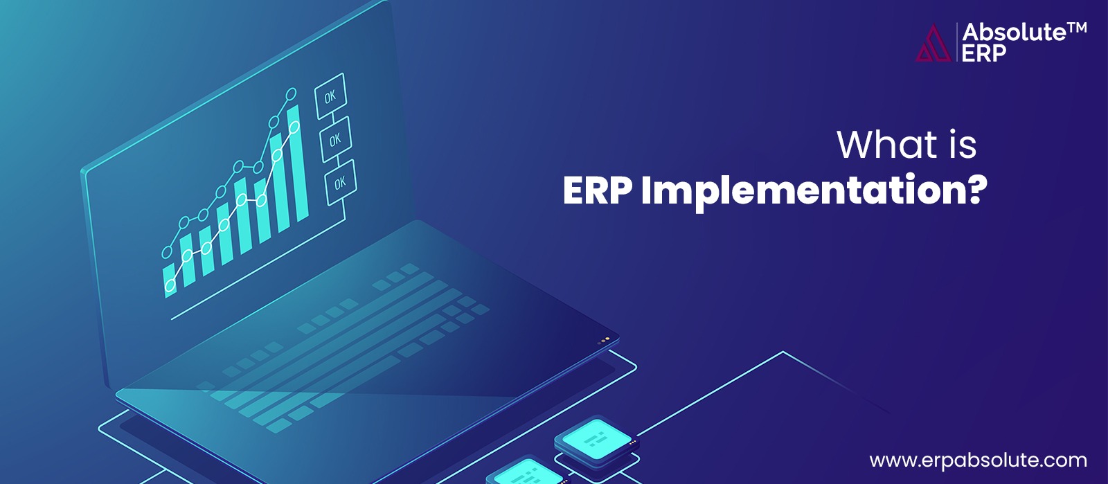 ERP Implementation