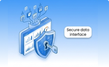 Secure data interface