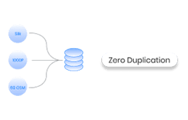 Zero Data Entry Duplication